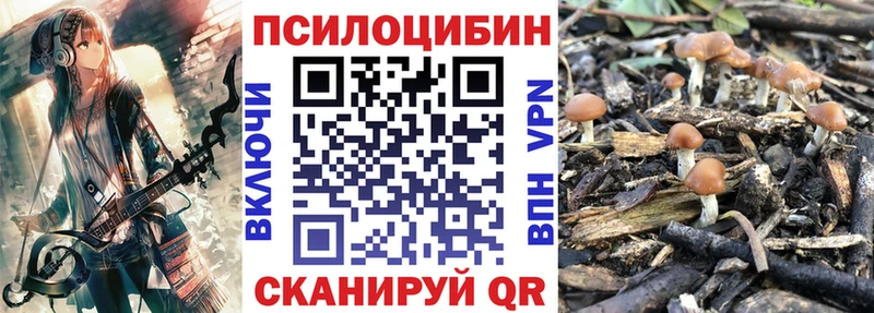 Псилоцибиновые грибы мухоморы  Красноармейск 
